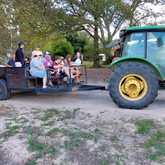 Farm Camping Experience - Akkersdrift - Xplorio™ Gansbaai