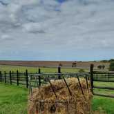 Farm Camping Experience - Akkersdrift - Xplorio™ Gansbaai