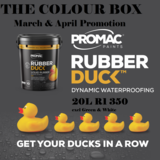RubberDuck_Fb_1__1678886292
