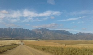 Esperance Farm For Sale in Riviersonderend