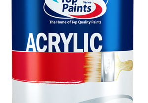 Top Paints Skim Plaster