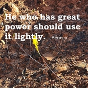 Never Mistake Force for Power