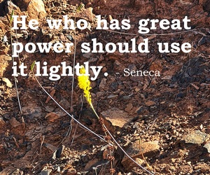 Never Mistake Force for Power