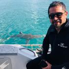 Shark Cage Diving - White Shark Projects - Xplorio™ Gansbaai