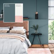 Vining Ivy Paired with Swansong and a Makeup Counter