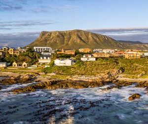 Latest Review on TripAdvisor