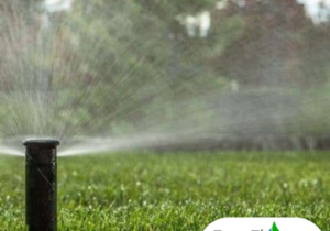 Automate Watering Your Garden