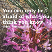 Don't let your beliefs of yourself limit you!