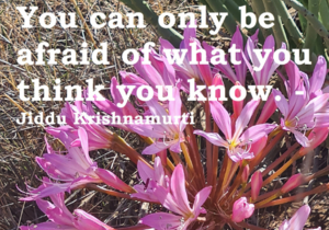 Don't let your beliefs of yourself limit you!