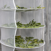 Drying Racks - i-MED Africa - Xplorio™ Gansbaai