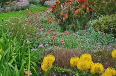 Fynbos_Gardens9_1680261259