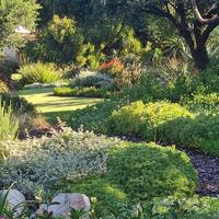 Fynbos Gardens
