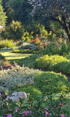 Fynbos_Gardens6_1680261371