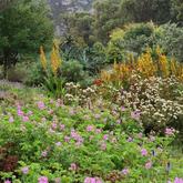 Fynbos Gardens