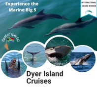 Next Dyer Island Marine Big 5 Tour: 4 April 2023
