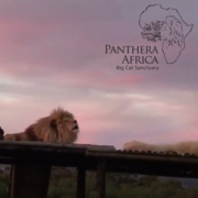 8 April 2023: Sunset Visit