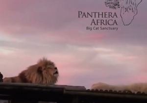 8 April 2023: Sunset Visit