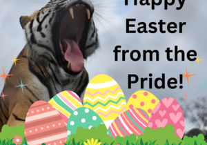 Easter Egg Hunt on every Educational Visit from 7 - 10 April 2023