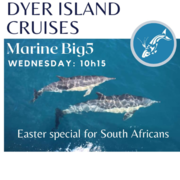 Next Dyer Island Marine Big 5 Tour: 5 April 2023