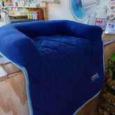 Couch Dog Bed - The Pet Grocer - Xplorio™ Gansbaai