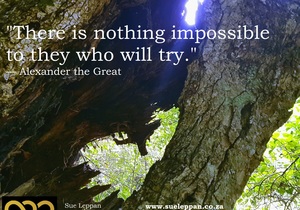 There's nothing impossible to they who will try