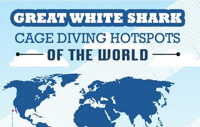 shark-cage-diving-hotspots-of-the-world