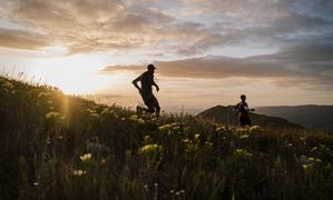 5 August 2023: Merrell Whale of Trail 53km and 35km