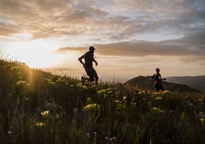 5 August 2023: Merrell Whale of Trail 53km and 35km