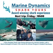 Next Marine Dynamics Shark Cage Diving Trip: 14 April 2023