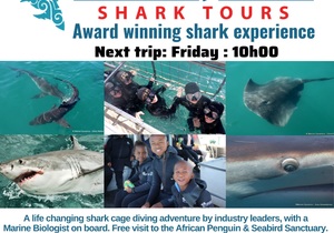 Next Marine Dynamics Shark Cage Diving Trip: 14 April 2023