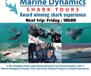 Next Marine Dynamics Shark Cage Diving Trip: 14 April 2023