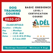 Basic Obedience Dog Training Course - Level 1