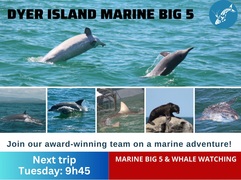 Next Dyer Island Marine Big 5 Tour: 18 April 2023