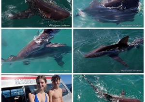 Daily Blog: 18 April 2023 | Shark Cage Diving in South Africa