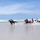 Horse Riding - Pearly Beach Horse Trails - Xplorio™ Gansbaai