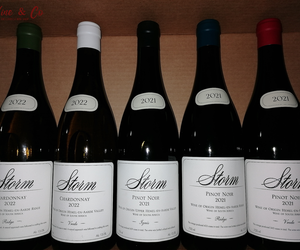 Now in Stock: Storm New Releases!