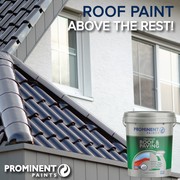Prominent Paints: Roof Paint