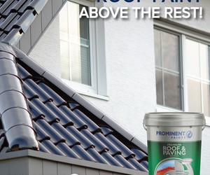 Prominent Paints: Roof Paint