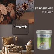 Prominent Paints: Dark Granite