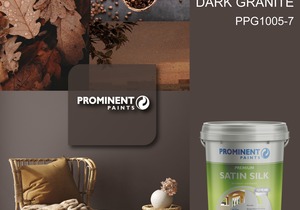 Prominent Paints: Dark Granite