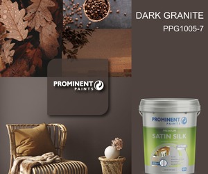 Prominent Paints: Dark Granite