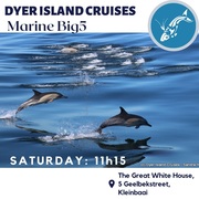 Next Dyer Island Marine Big 5 Tour: 22 April 2023