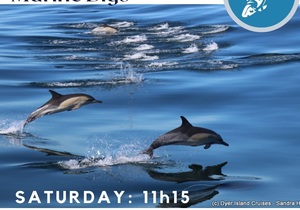 Next Dyer Island Marine Big 5 Tour: 22 April 2023