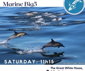 Next Dyer Island Marine Big 5 Tour: 22 April 2023