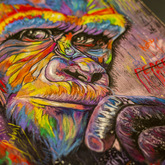 Pastel Art - Art4Heart - Xplorio™ Gansbaai