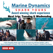 Next Marine Dynamics Shark Cage Diving Trip: 25 + 26 April 2023
