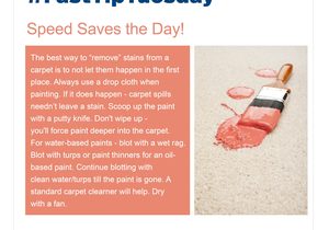 Fast Tip: Prevent Paint Stains on Carpet