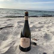 New Demi Sec MCC: Nectar