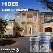 Prominent Premium Textured Paint