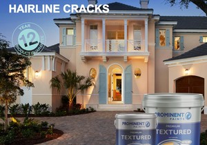 Prominent Premium Textured Paint